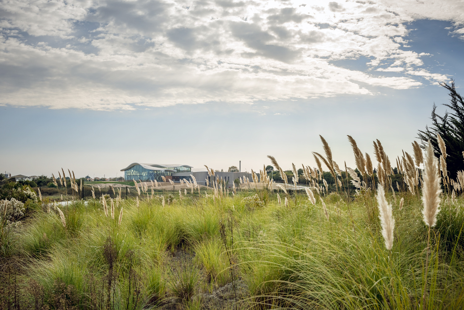 体育馆丨MultiplexeAquatique-110