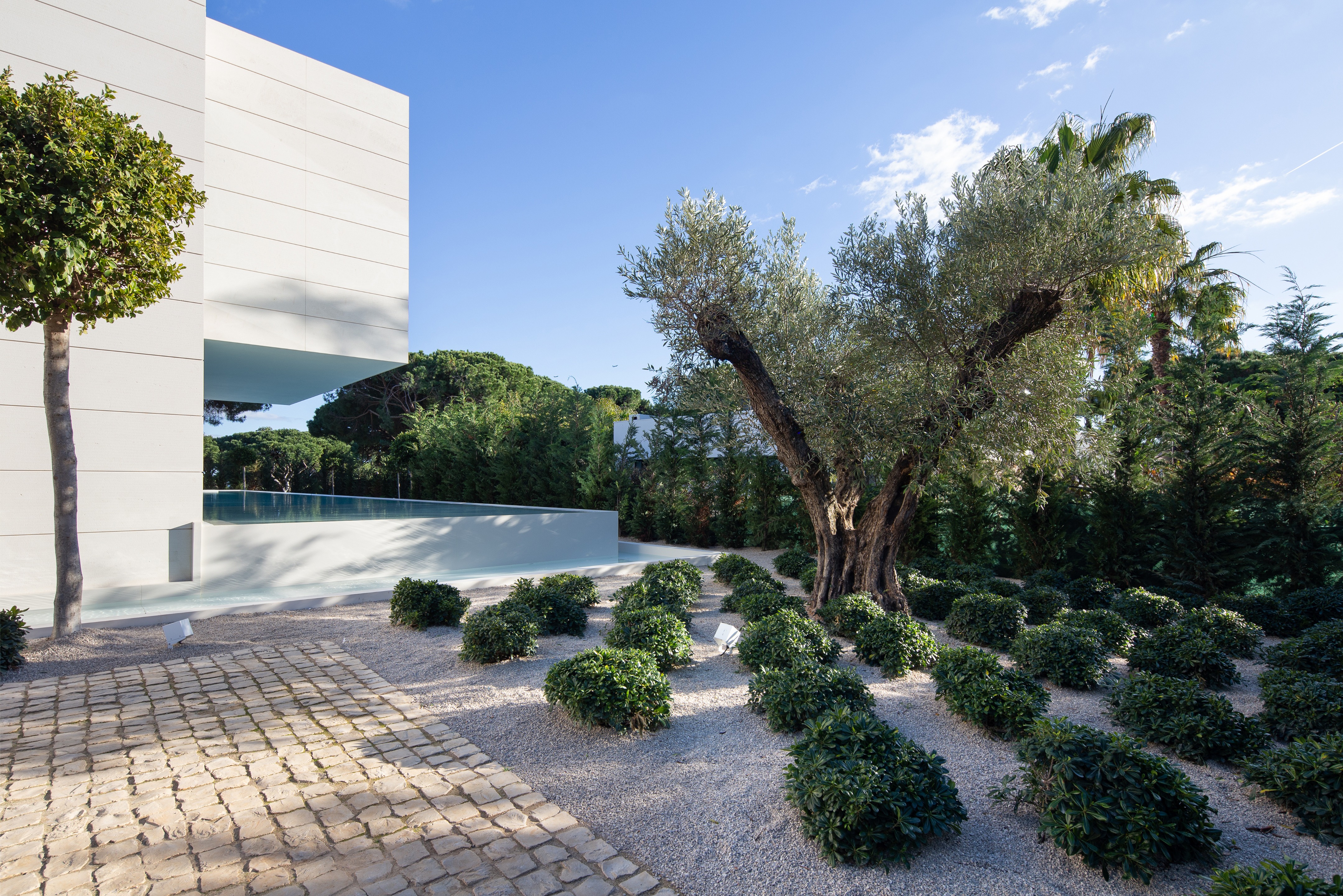 葡萄牙南部别墅的生态花园设计-7