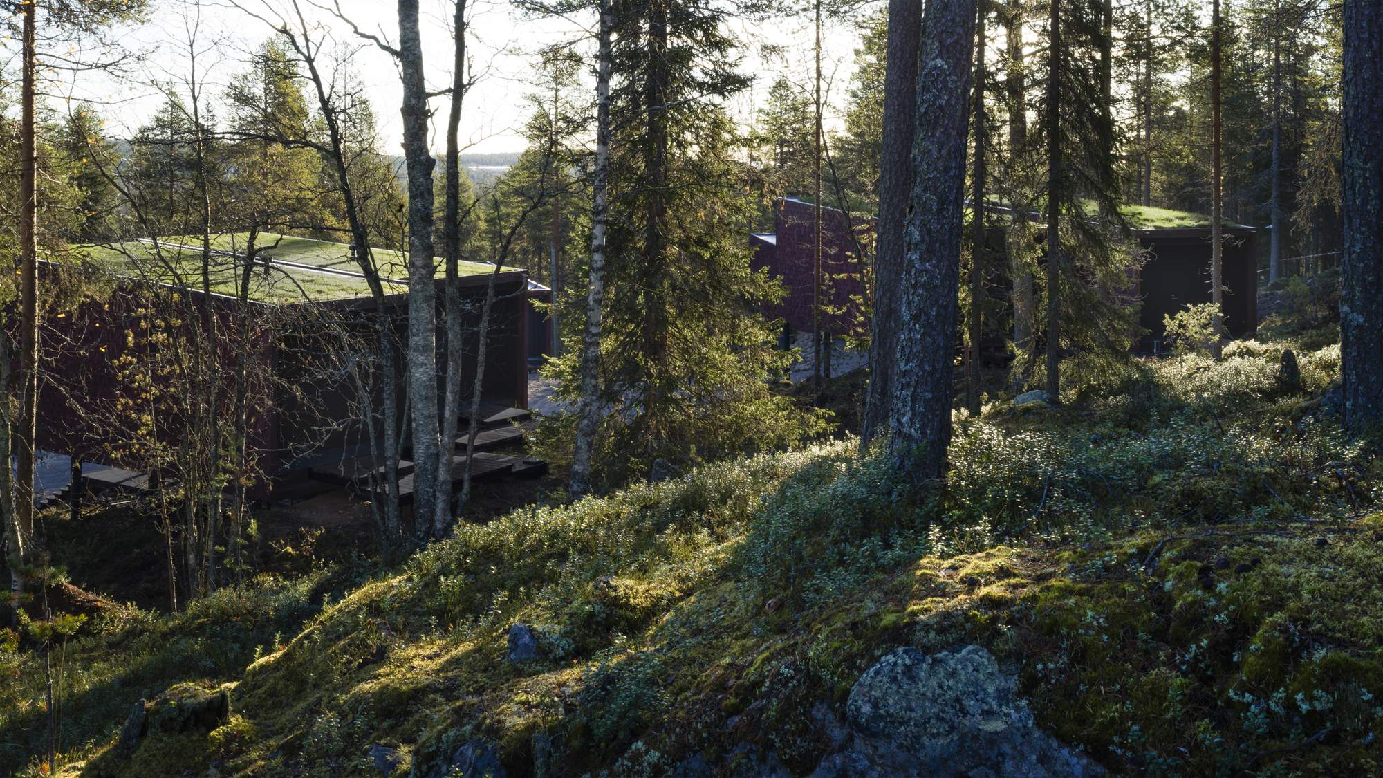 Arctic TreeHouse酒店丨芬兰罗瓦涅米丨芬兰建筑工作室Puisto-11