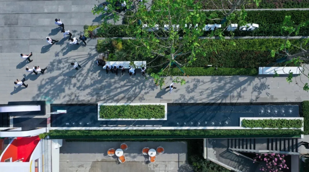 【案例分享】奥园•龙川玖著-11