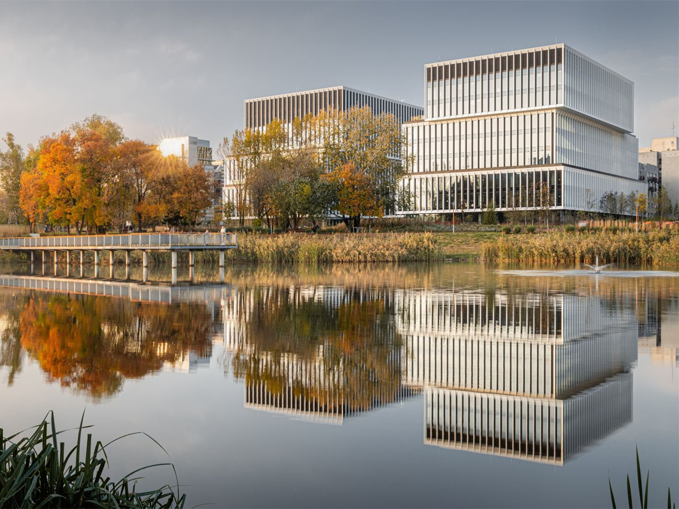 波兰湖边办公室丨Grupa 5 建筑公司-3