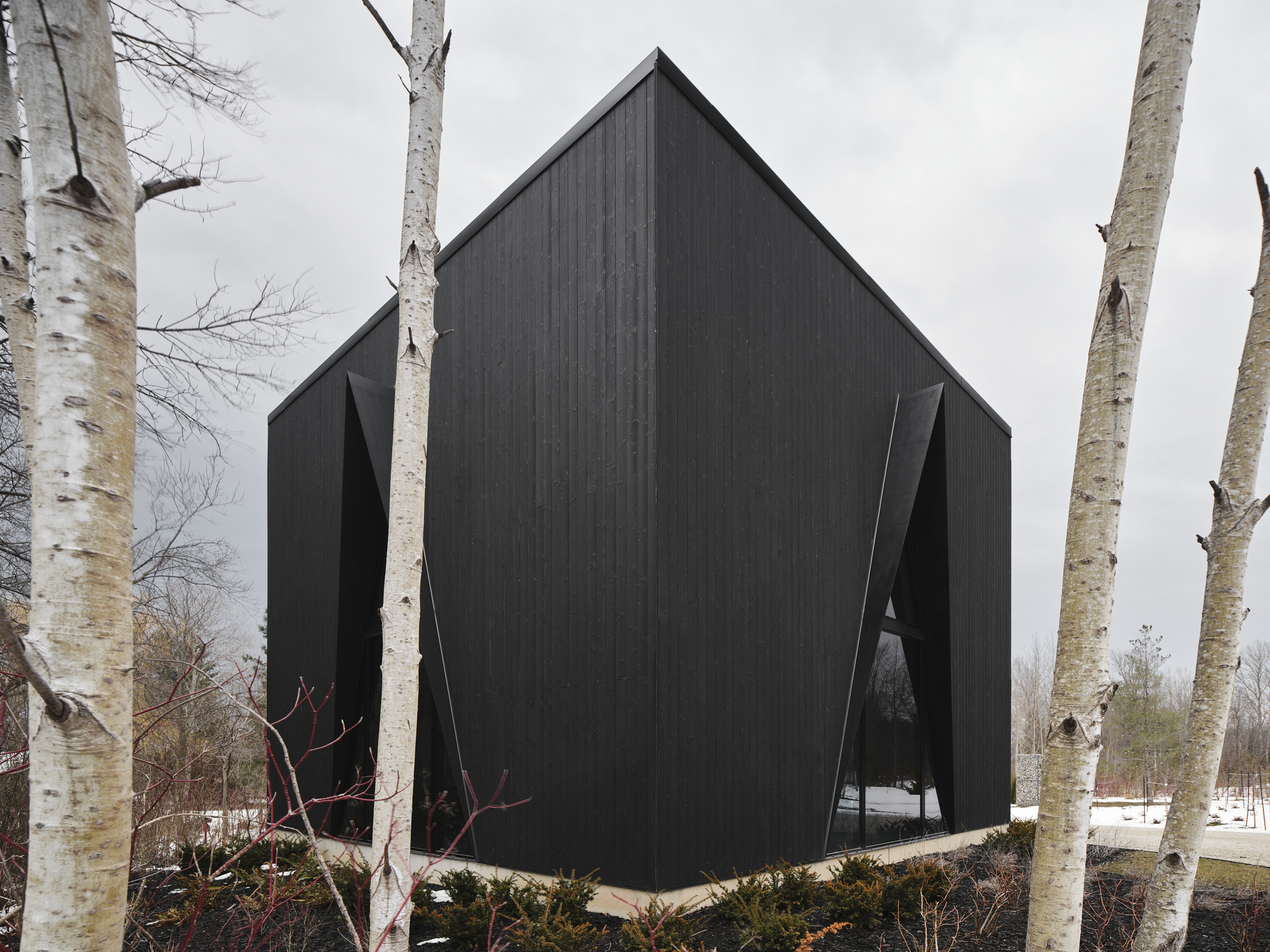 猫科滑雪小屋丨加拿大丨Atelier RZLBD-3