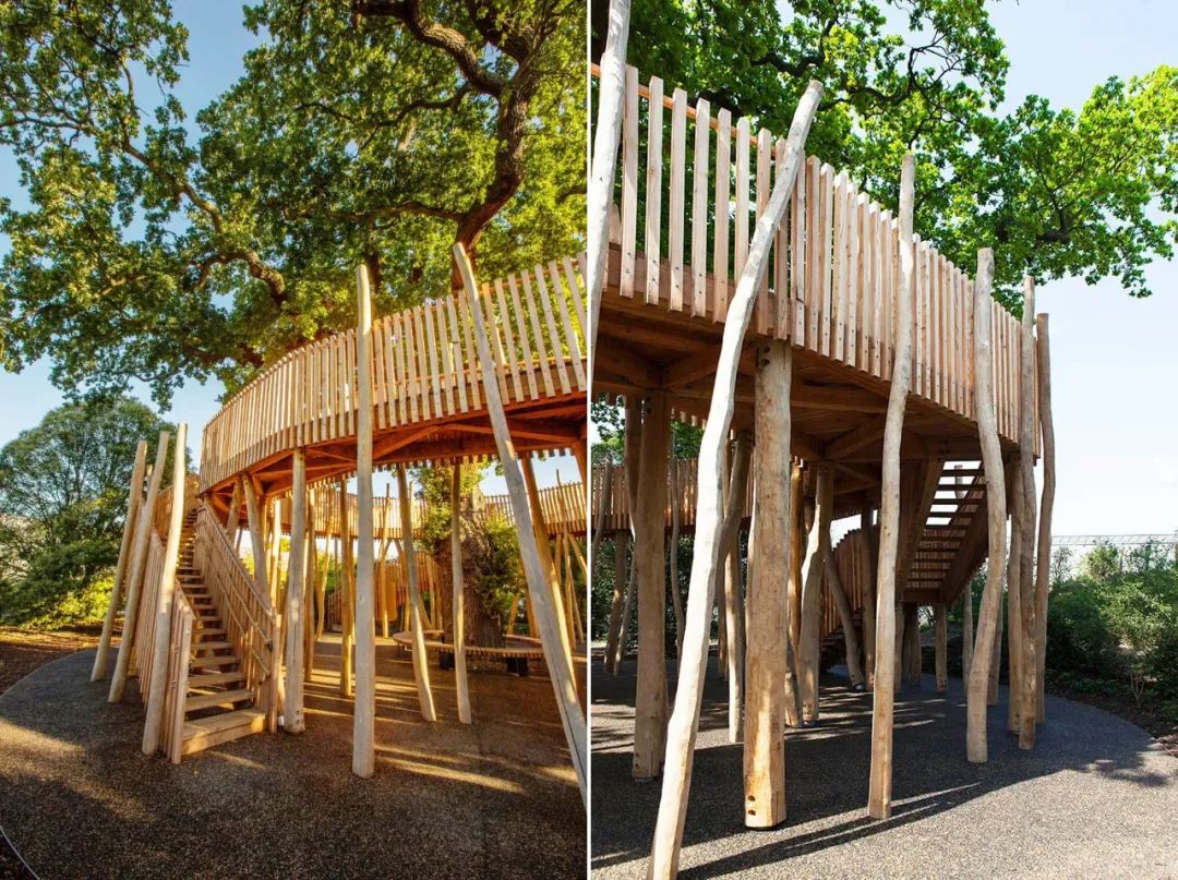 英国皇家植物园儿童花园丨Suzie Jewell-24