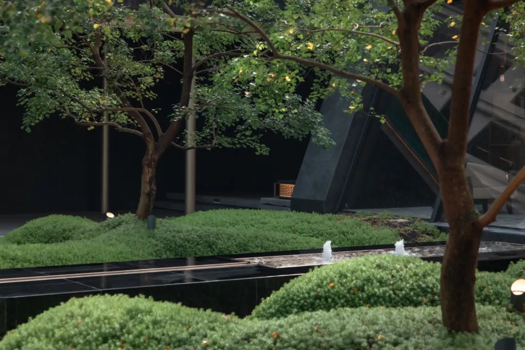 又见，港风 | 中山朗诗 · 金钟湖壹号-31