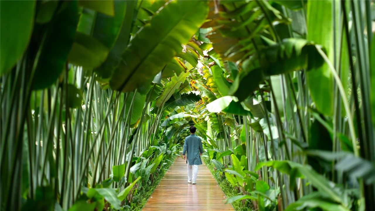 竹中诊所 - 温暖透明丨日本丨TSC Architects-152