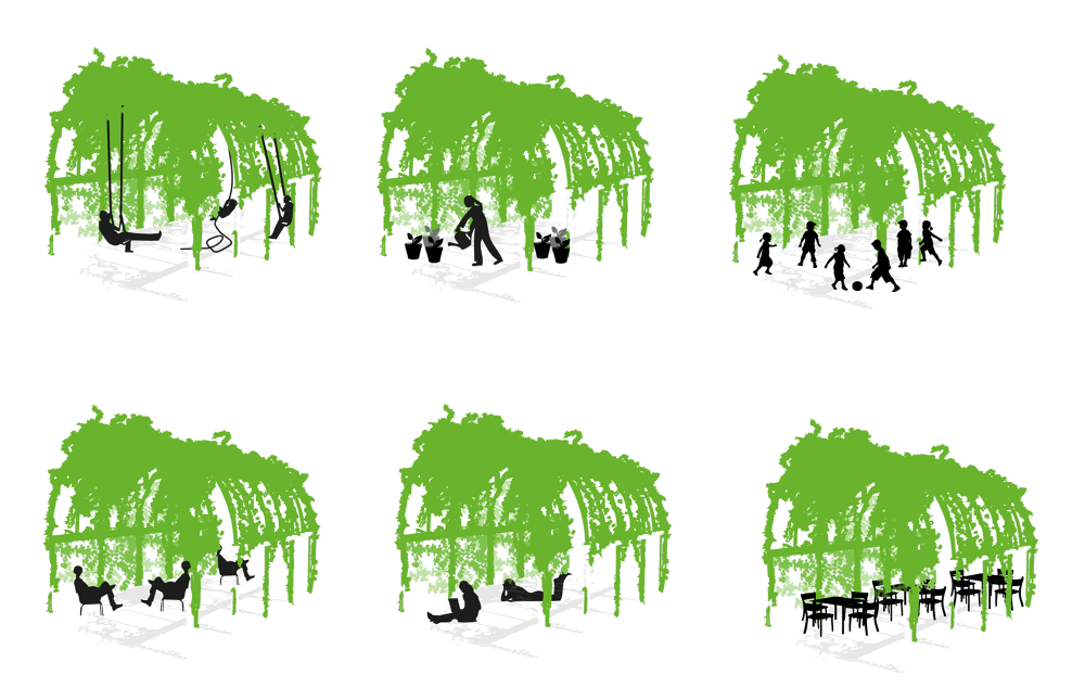 绿意盎然的语言之家·以色列里雄莱锡安“希伯来之家”-8
