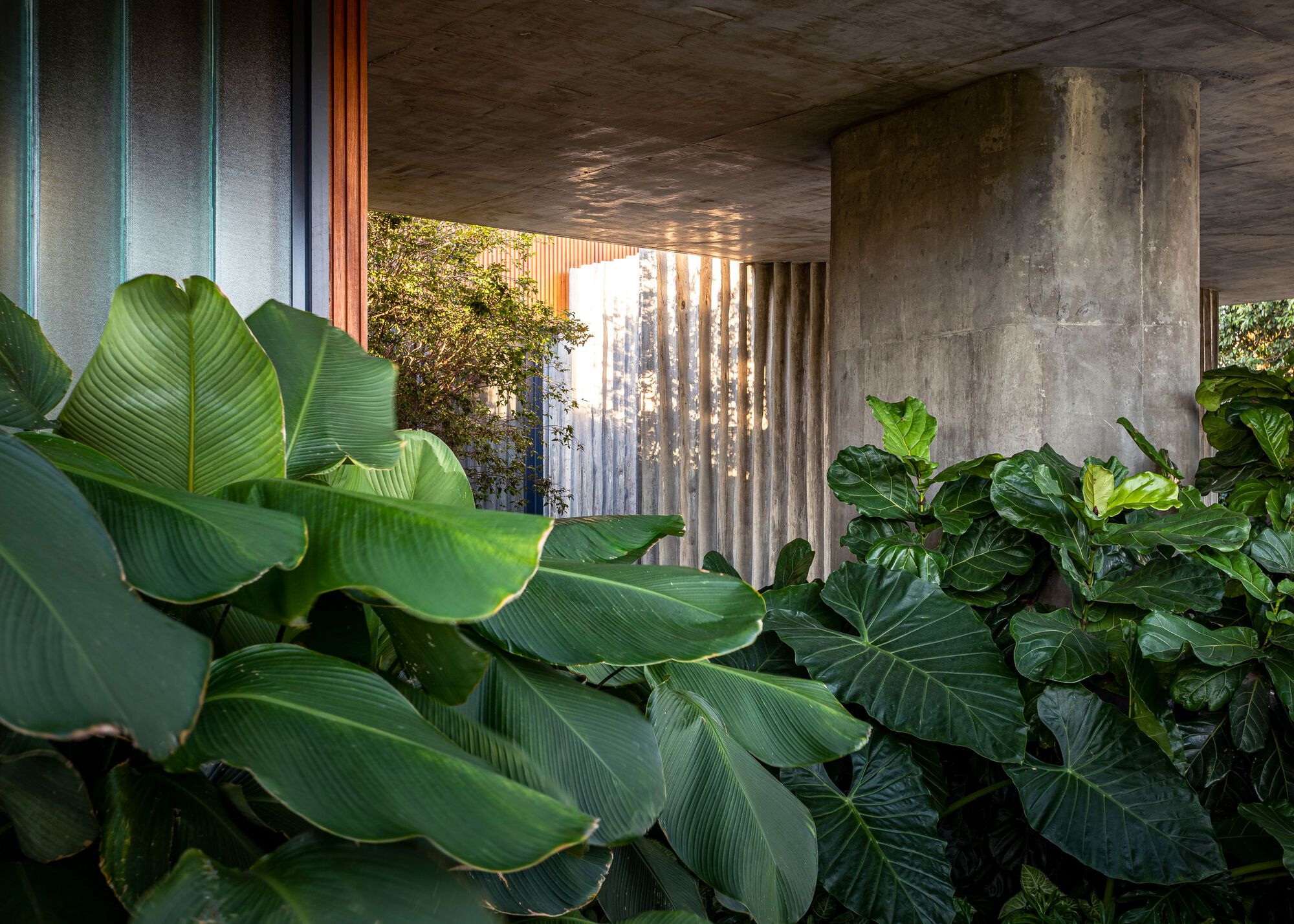 贾丁斯宅邸丨巴西丨Stemmer Rodrigues Arquitetura-35