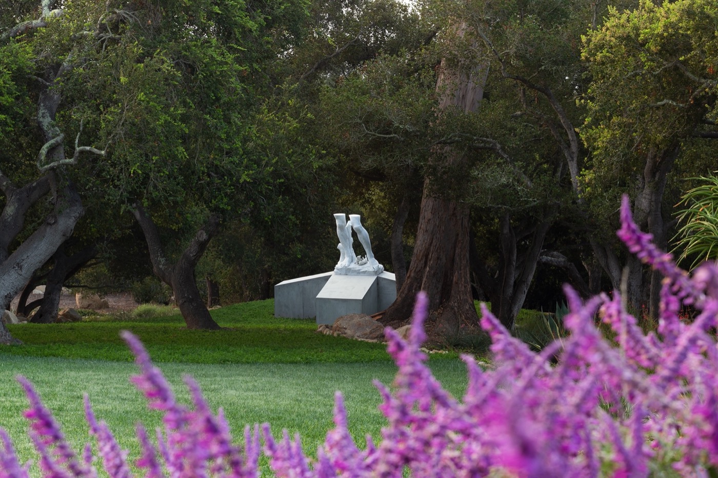 加州 Montecito 的 Mariposa Gardens丨RIOS-19