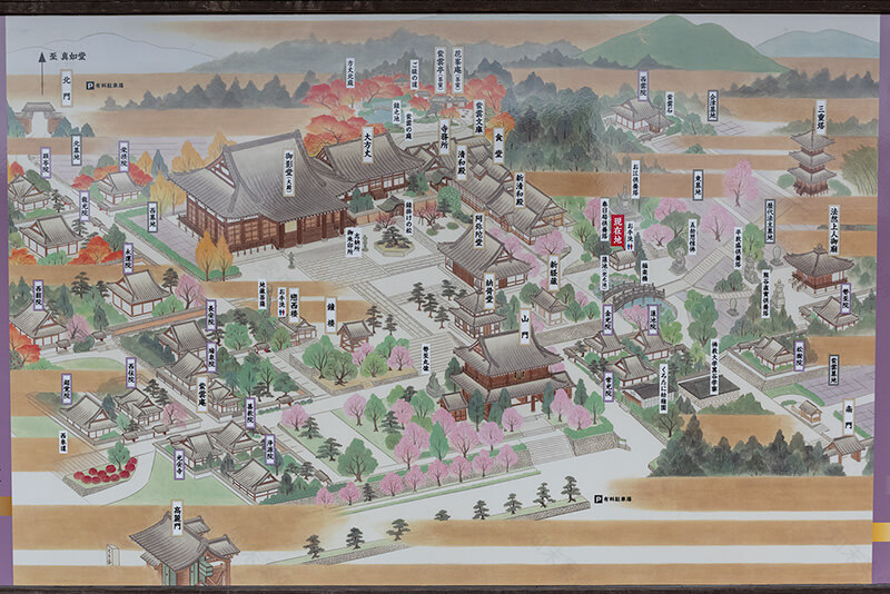 金戒光明寺庭园丨日本京都丨中根金作,植彌加藤造園-41