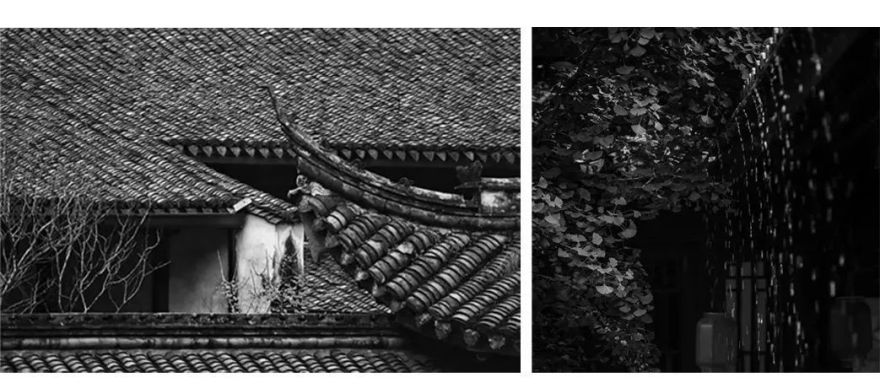 屋上 檐下 | 龙湖·学樘府-49