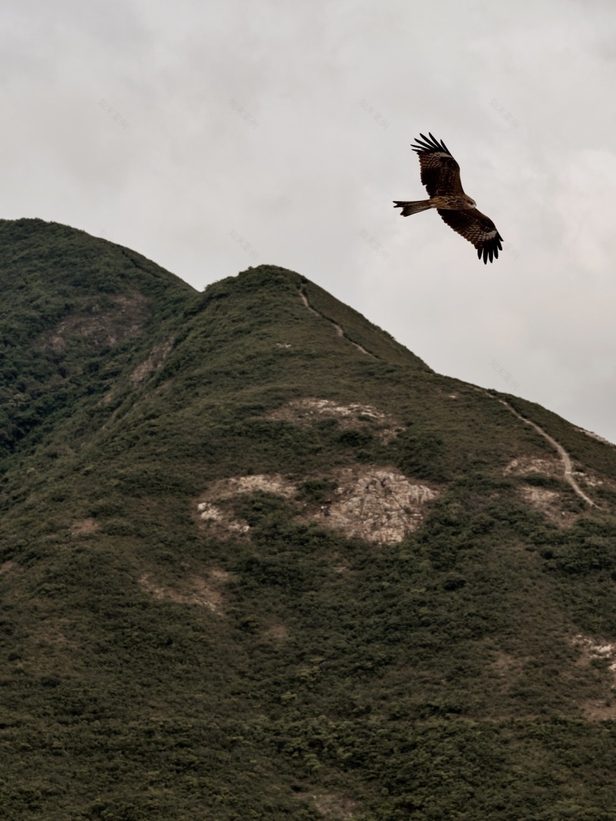 Cape Drive 私人住宅丨中国香港丨联图建筑设计-42