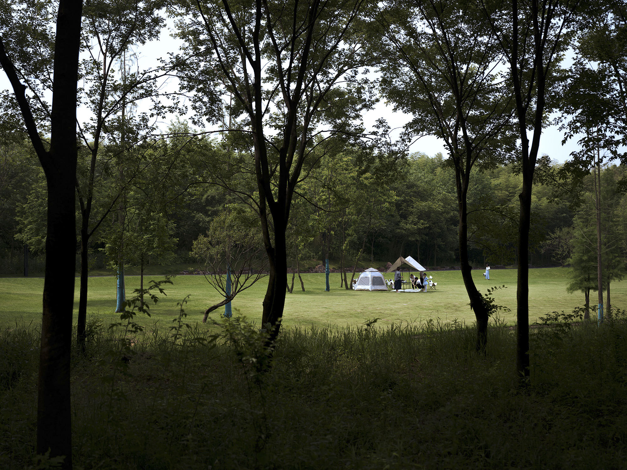 荒野中的明灯 · 宜兴窑湖镇青鱼湖公园丨Change Studio-45