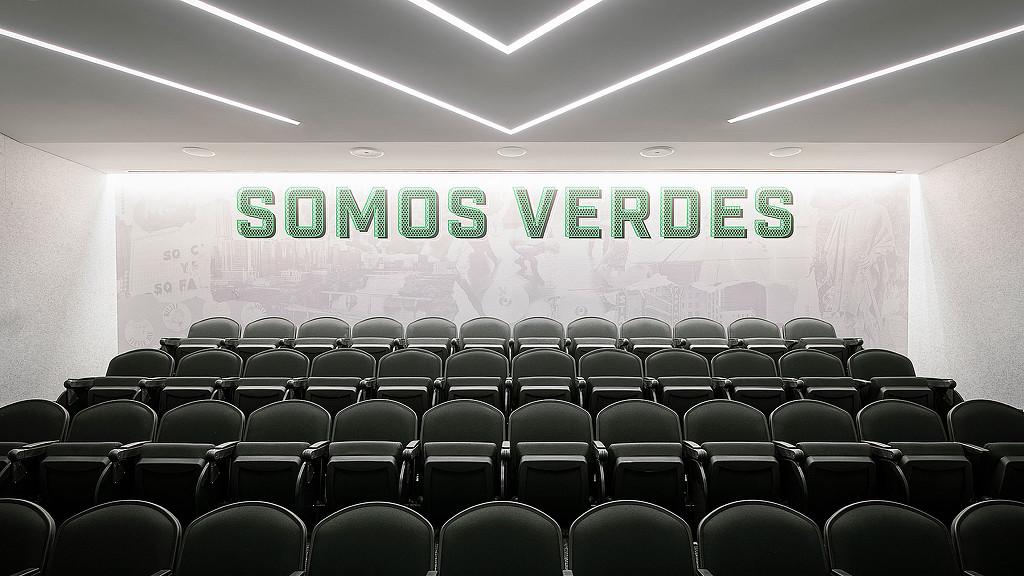 圣大卫表现中心-9