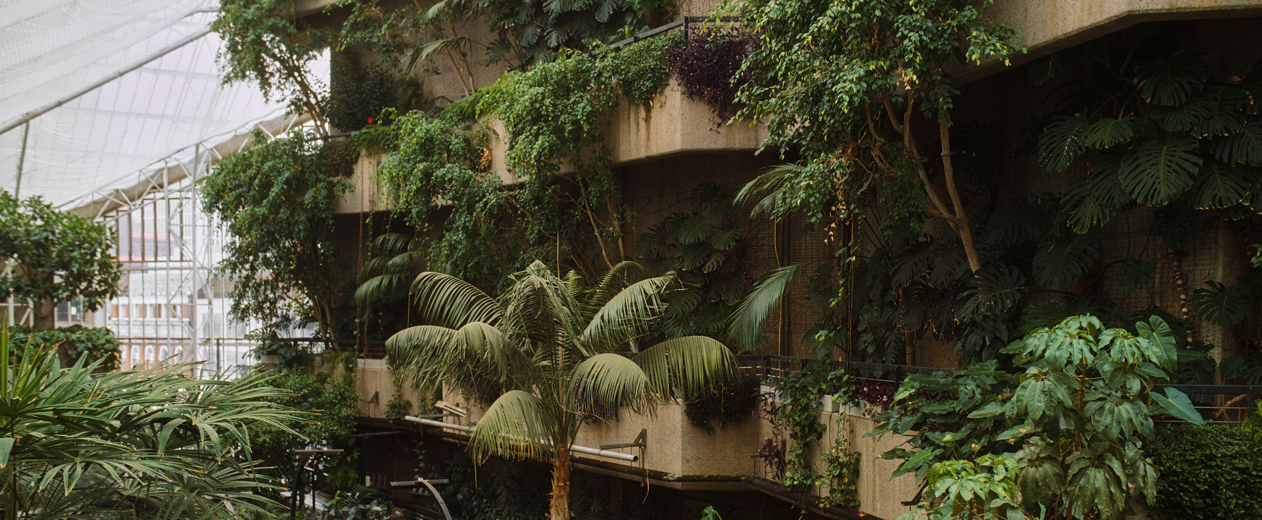 巴比肯温室丨英国伦敦-0