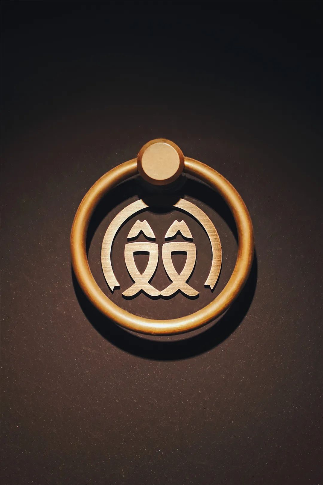 国潮川菜红双鱼 | 传统与现代的完美交融-58