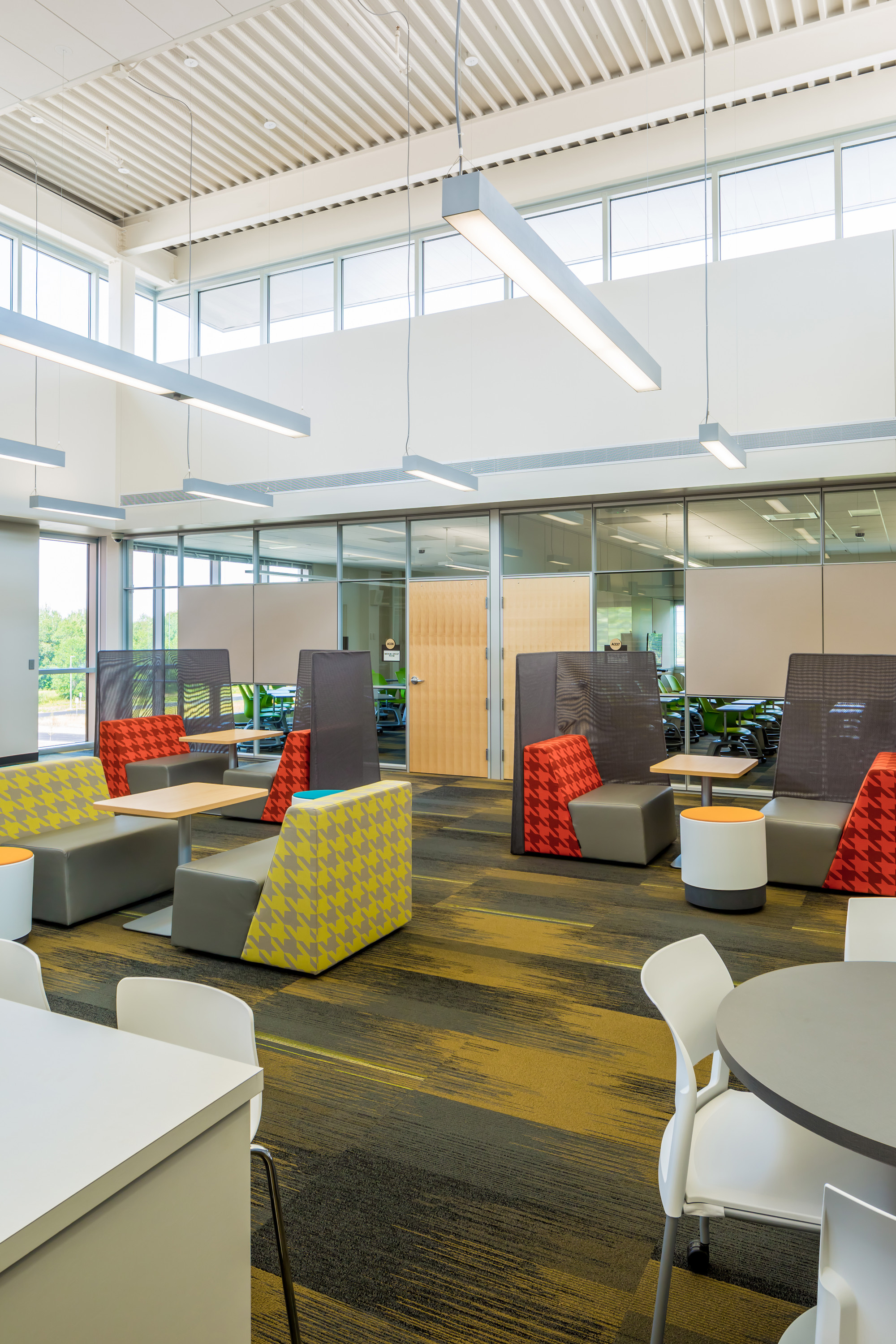 亚历山德里亚地区高中-17