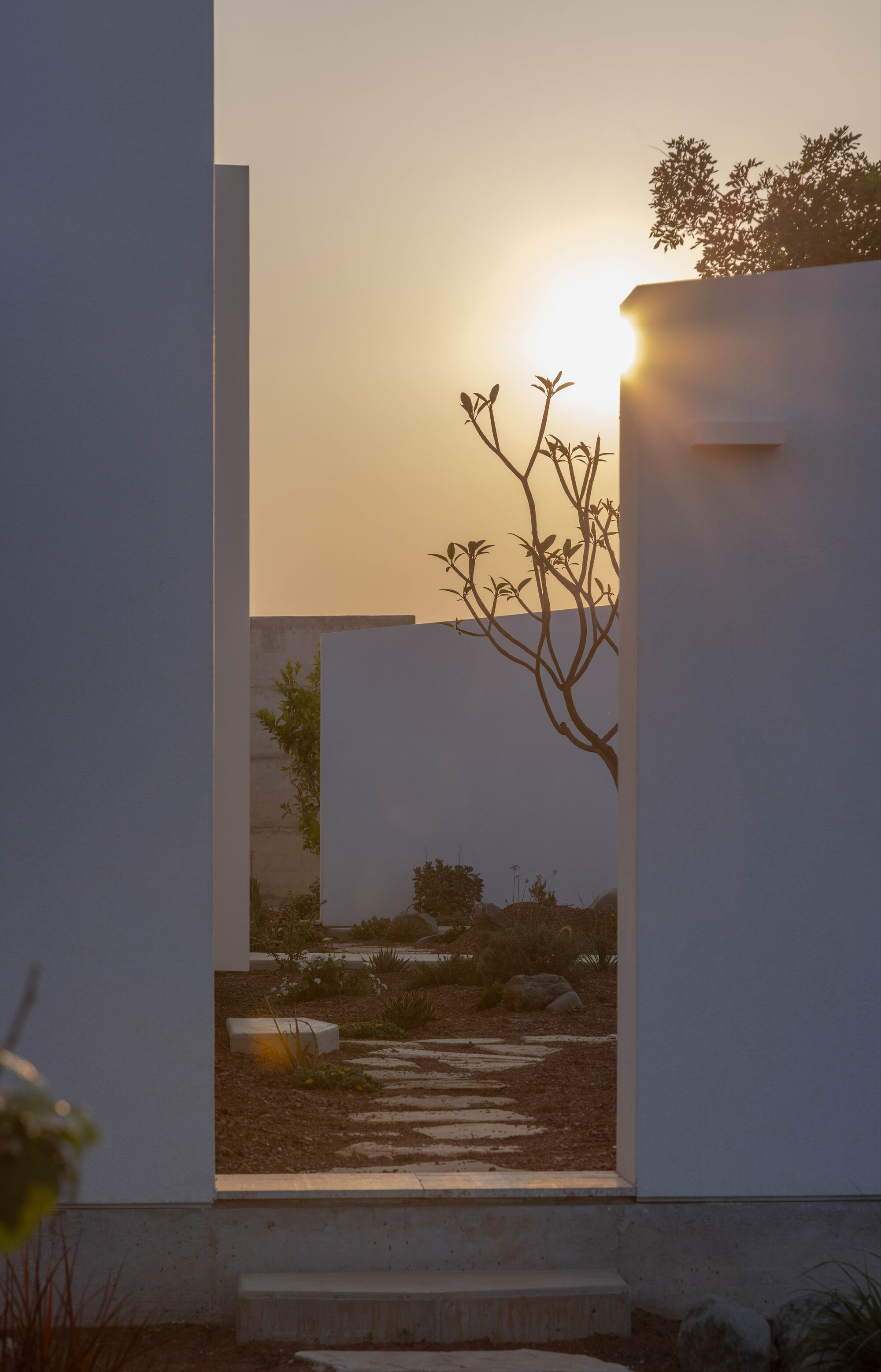 丨塞浦路斯尼科西亚丨M.O.B design studio-41