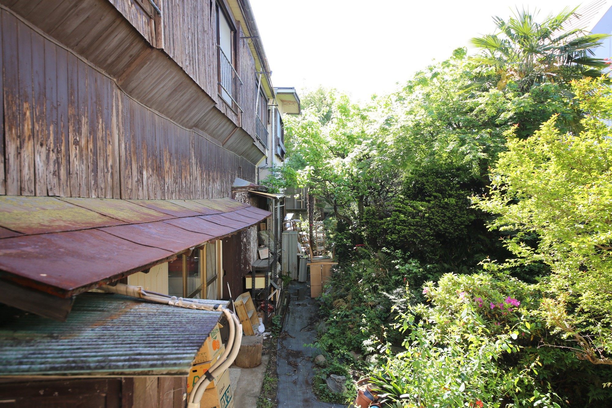 皆川村丨日本东京丨Saisei Kenchiku Laboratory-41