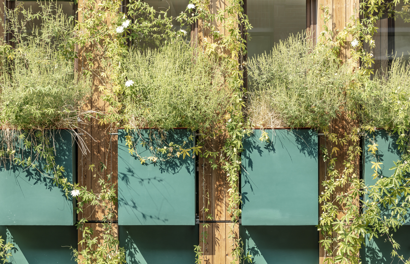 法国爱迪生精简公寓楼-16