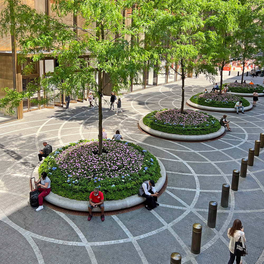 Civic Landscapes — PWP-6