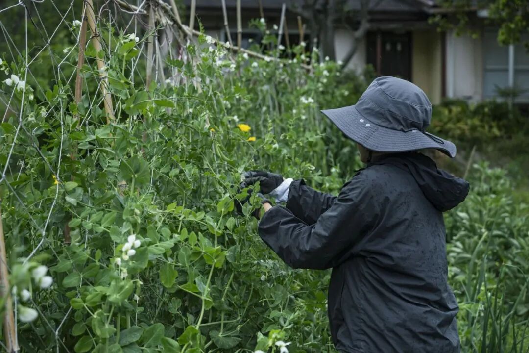 日本Teshima Factory丰岛工厂改造项目-60