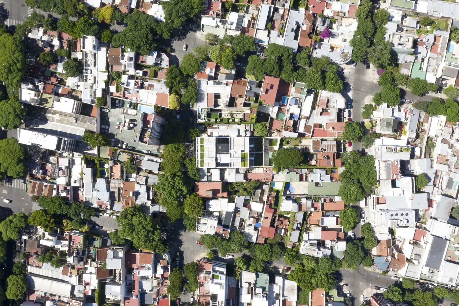 阿根廷混凝土住宅楼丨阿根廷布宜诺斯艾利斯丨Cottet Iachetti Arquitectos-45