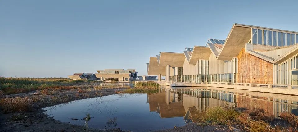 "一体两面"的崇明东滩湿地科研宣教中心-175