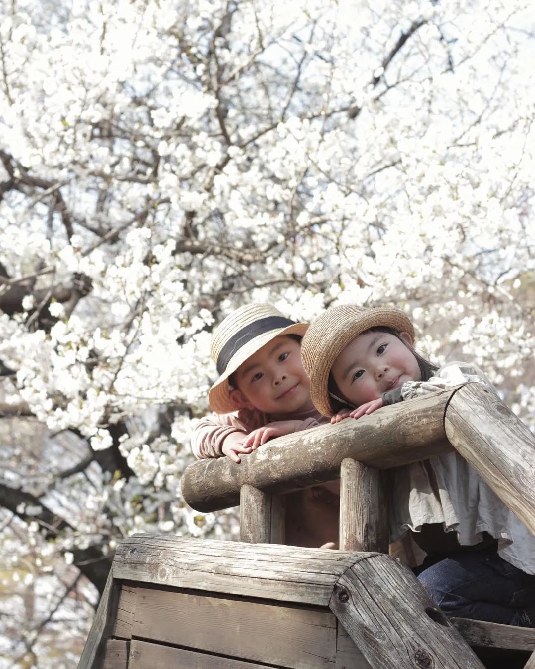 日本一主妇，晒100多㎡房子治愈无数人：没有客厅和电视，却是家居界的教科书！-146