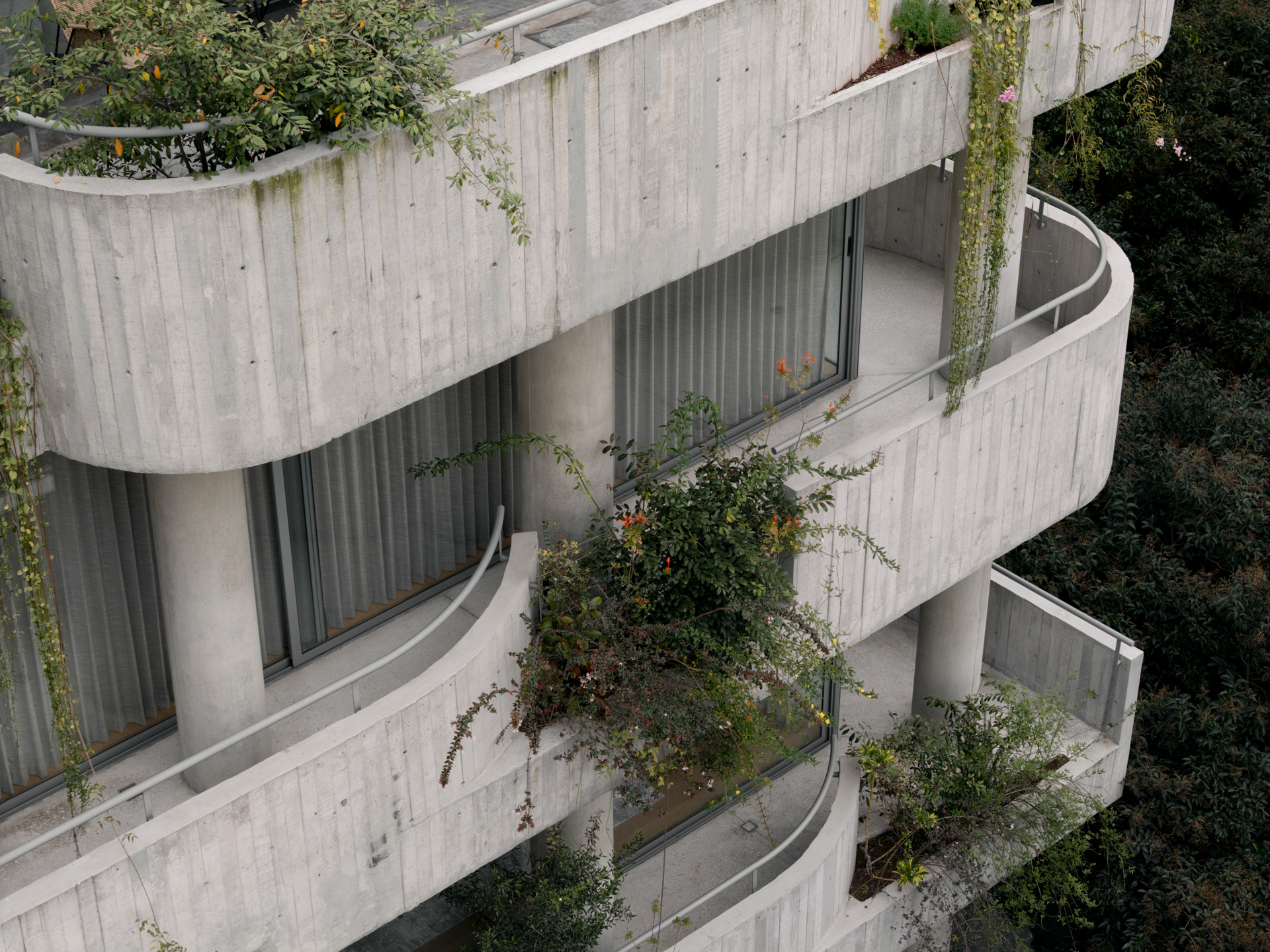 未明确提及丨MICHAN ARCHITECTURE-7