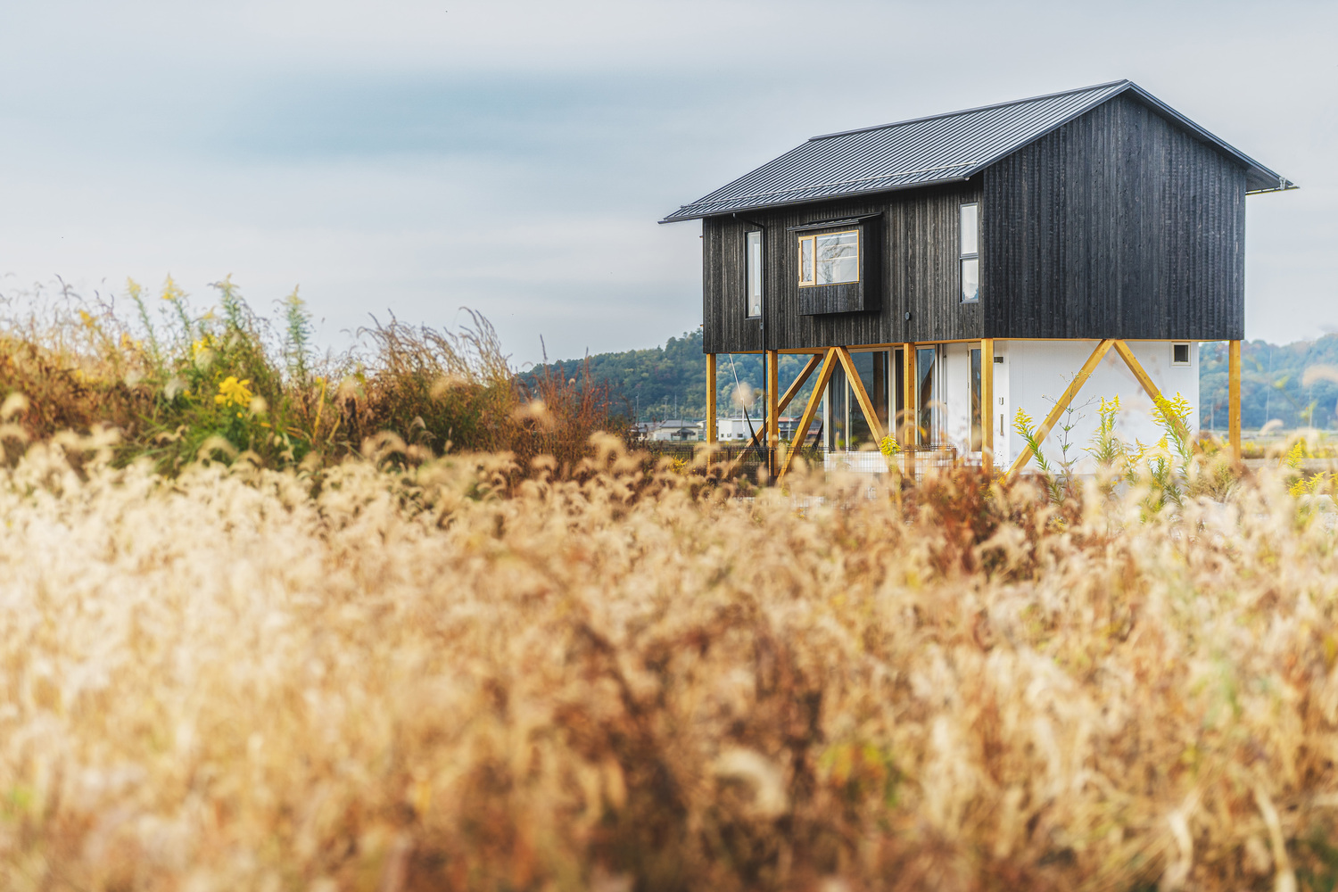 UHouse In Irie · 未来浮动的木质之家丨日本丨Ushijima Architects-28