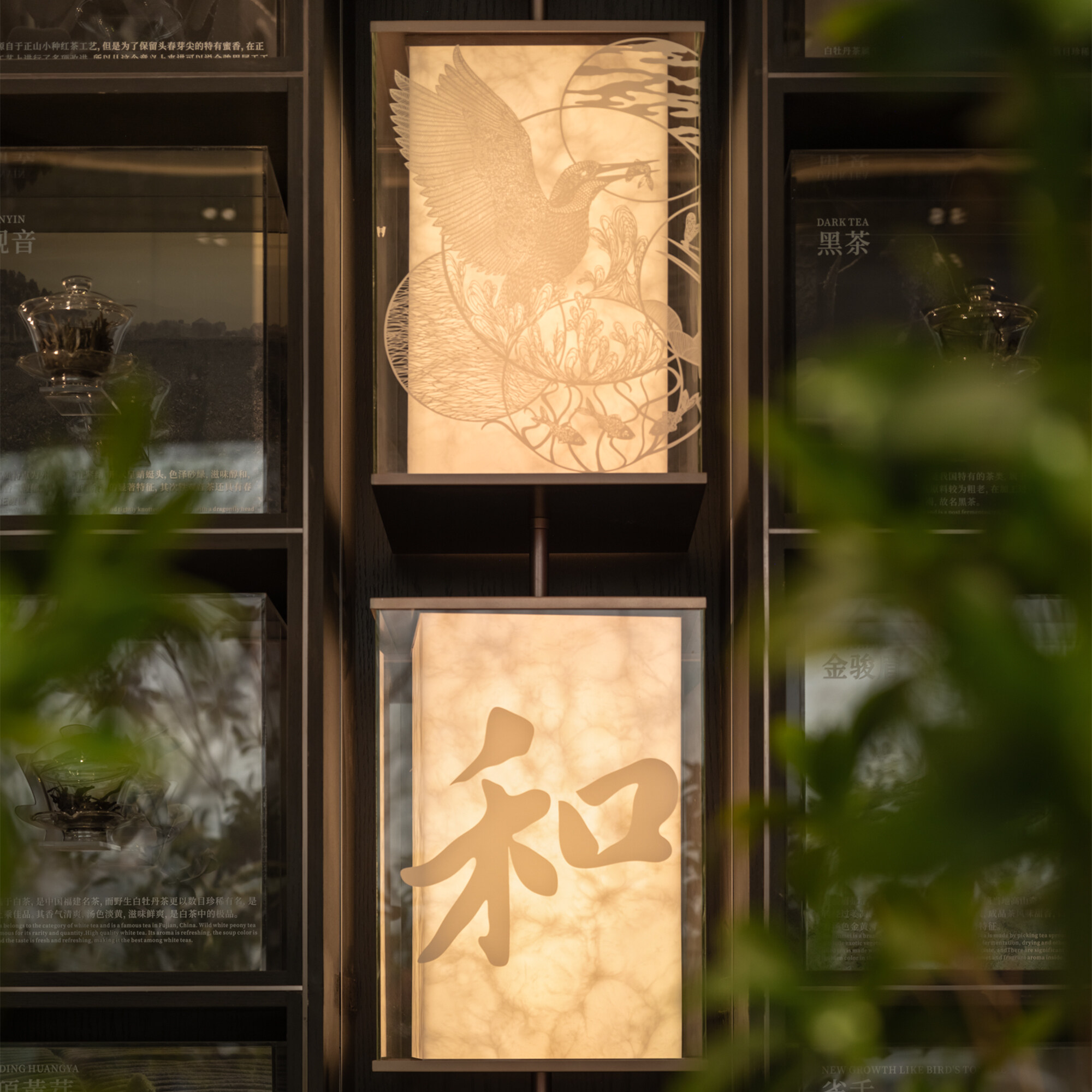 地产 - 共生形态 C&C DESIGN-1