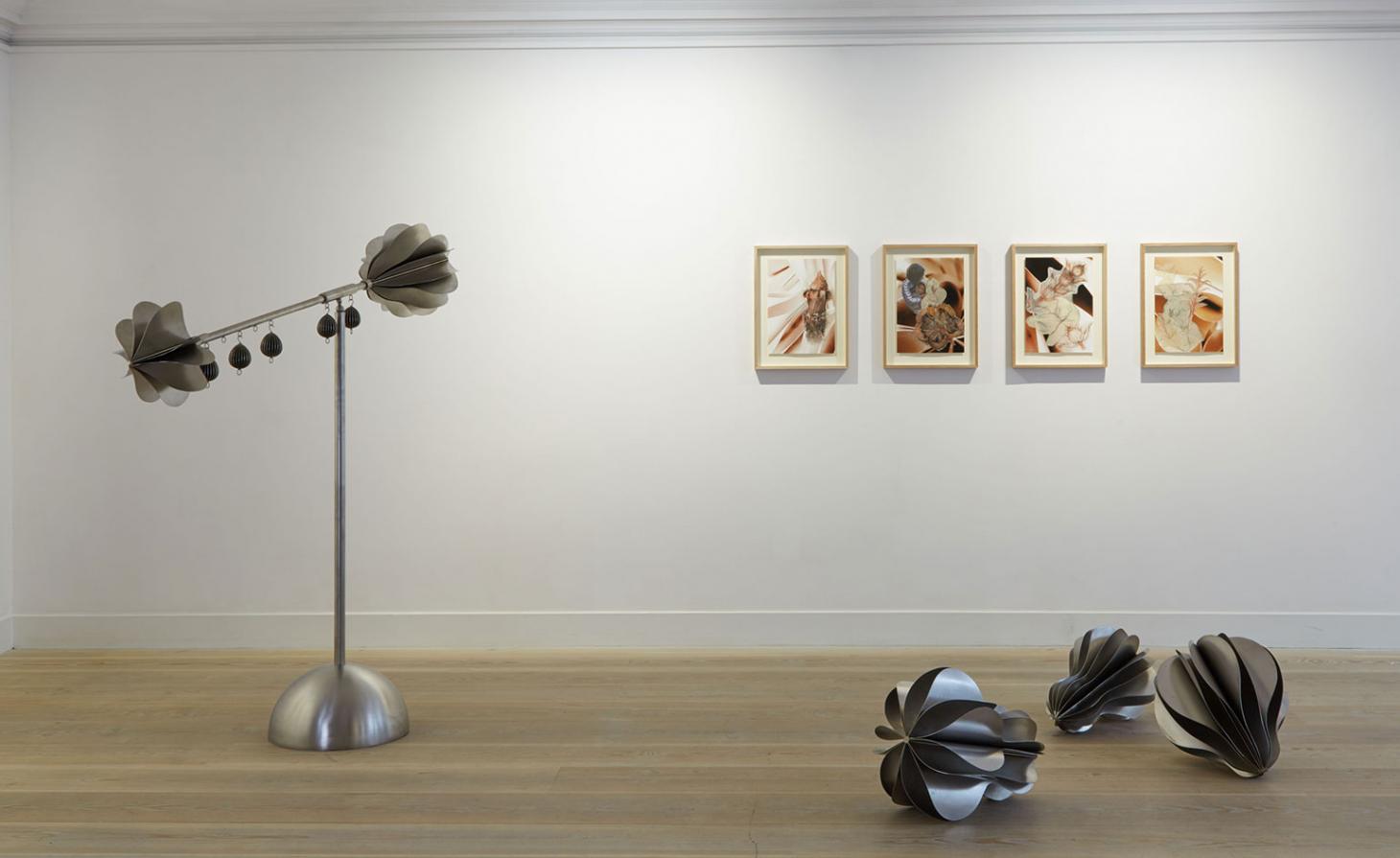 平衡世界中的生命奥秘·卡利奥皮·莱莫斯个展-1