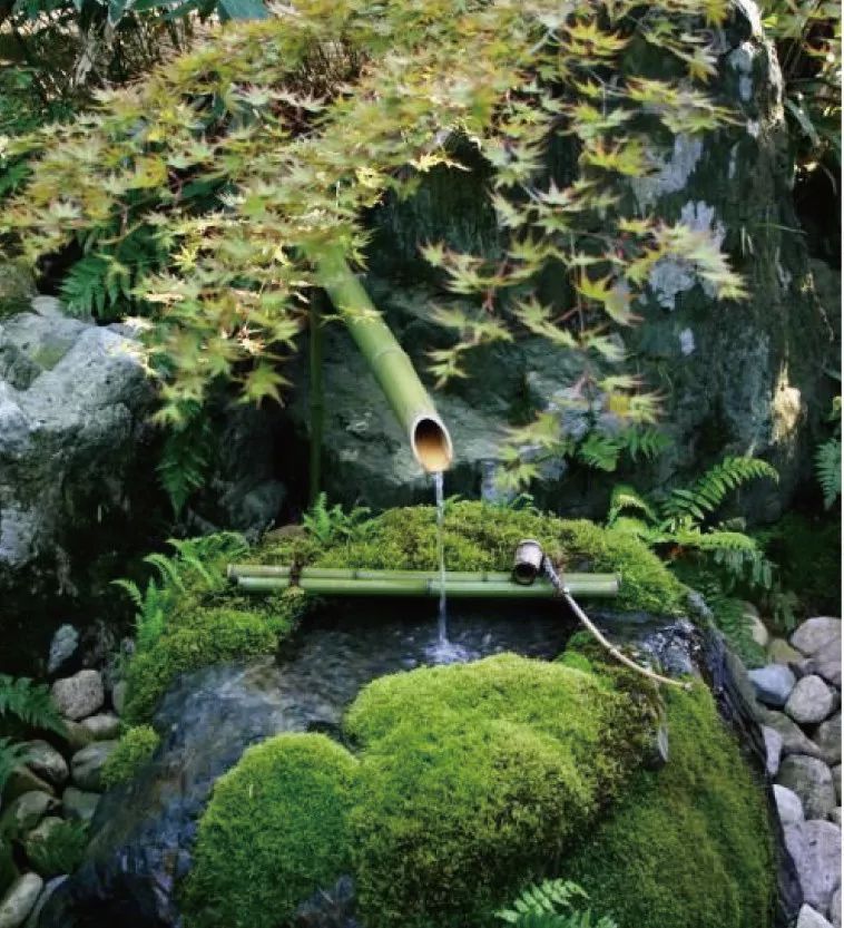 日本坪庭设计 | 微缩自然,打造静谧空间-69