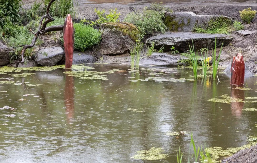 乌克兰 Shkrub 住宅丨Serhii Makhno-36