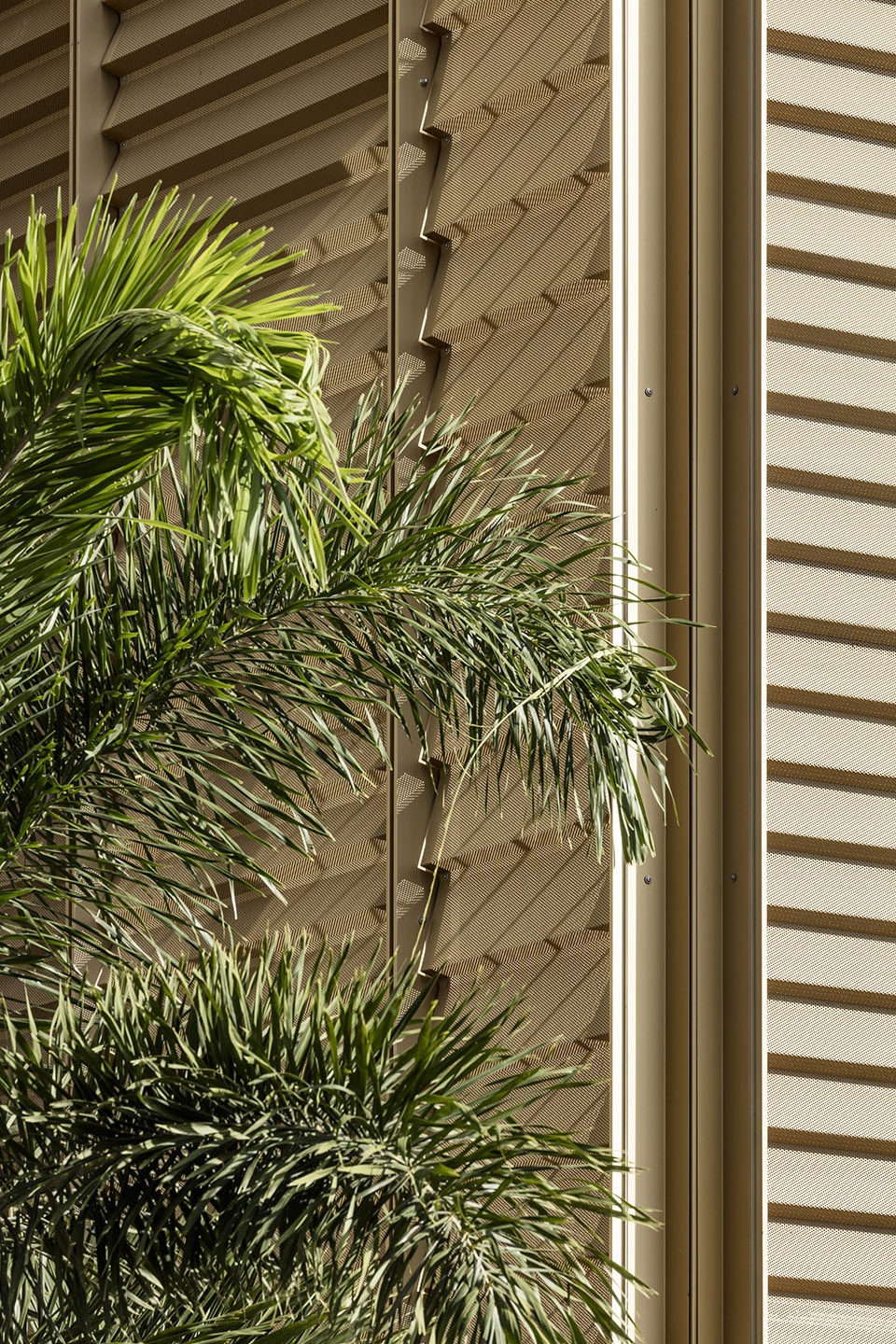 PointeàPitre 法院丨印度丨Ignacio Prego Architectures-19