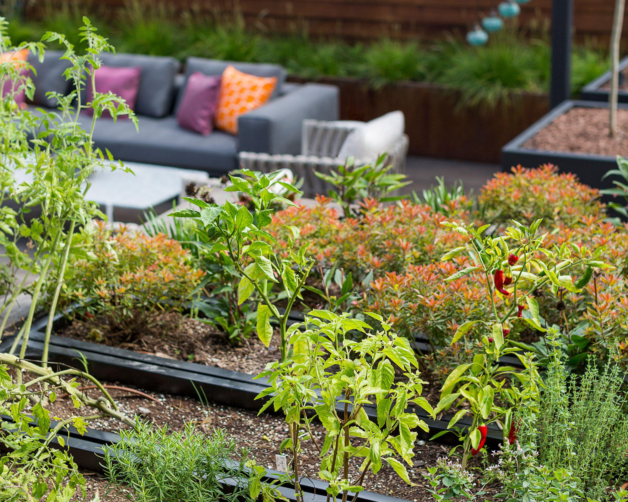 丨美国芝加哥-18