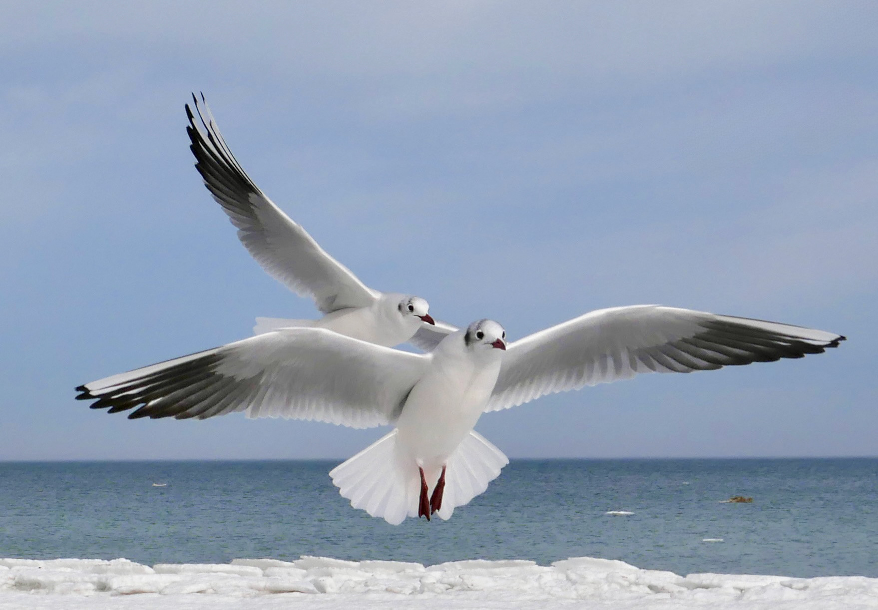 无明确体现丨无相关信息-8