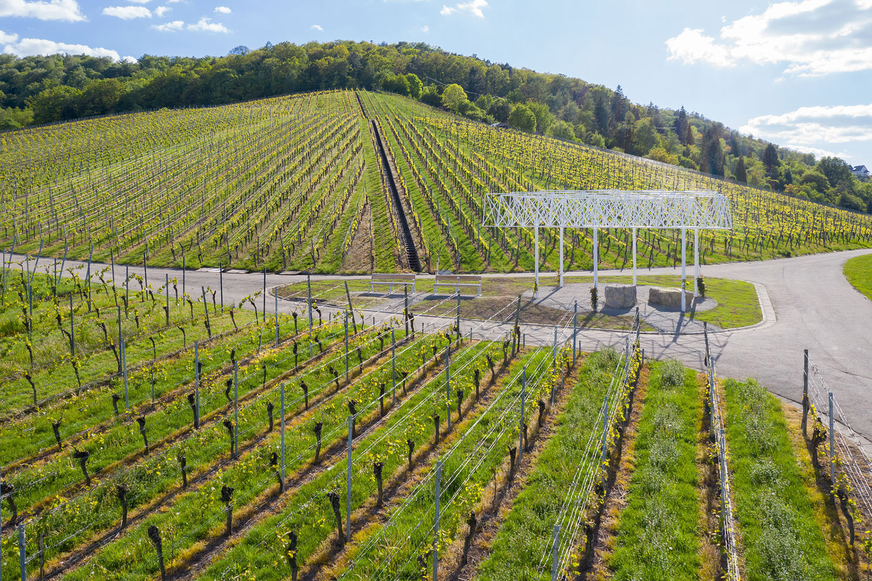 Belvedere展亭，德国 / Barkow Leibinger-9