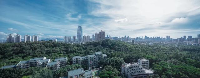 石头兄弟联创设计|天鹅飞过的地方，惊艳了时光。-16