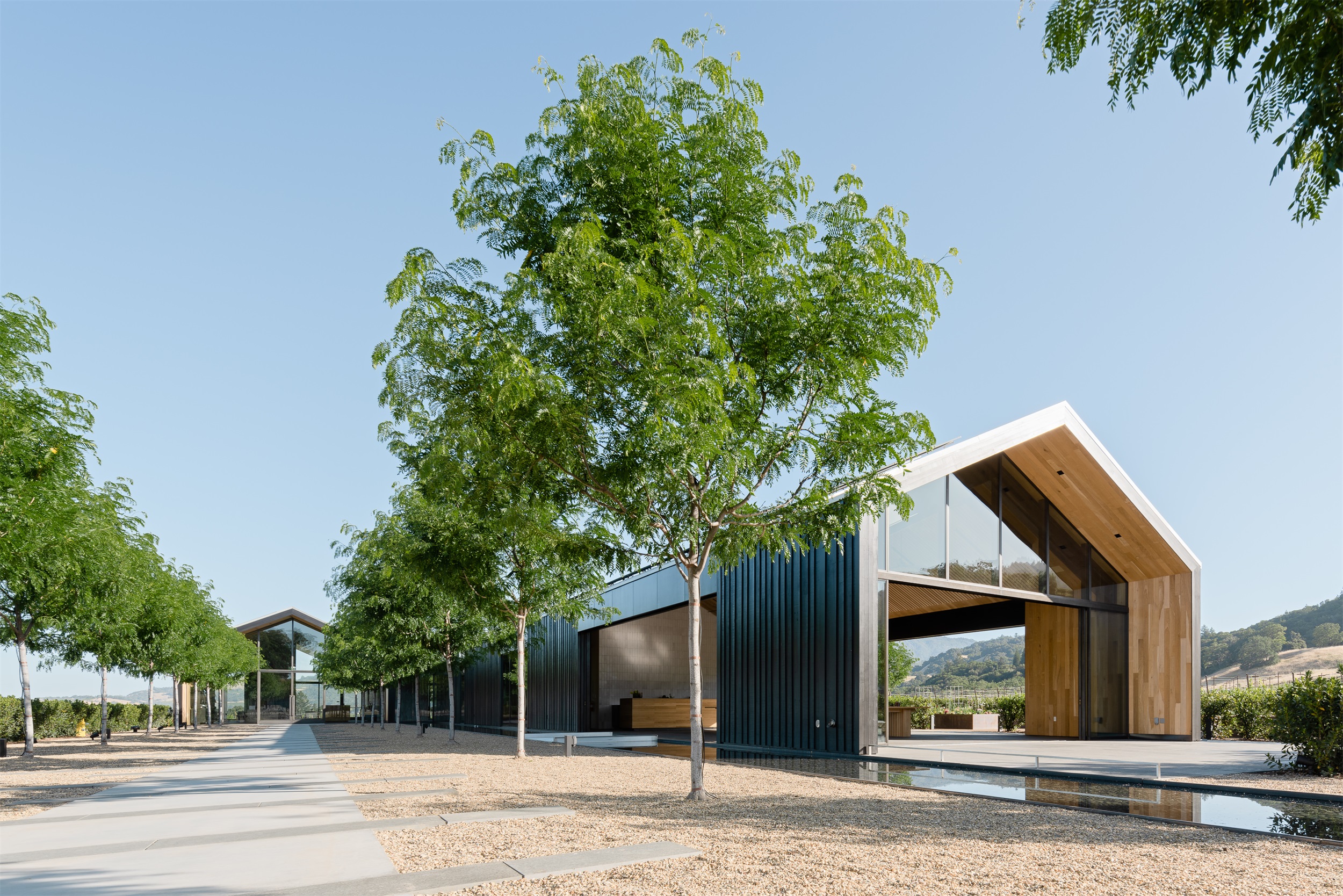 银橡酒庄 · 美国最具环境效益的零净水零能源酒庄丨Munden Fry Landscape Associates-2