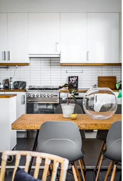 自然元素装点的瑞典城市公寓-11