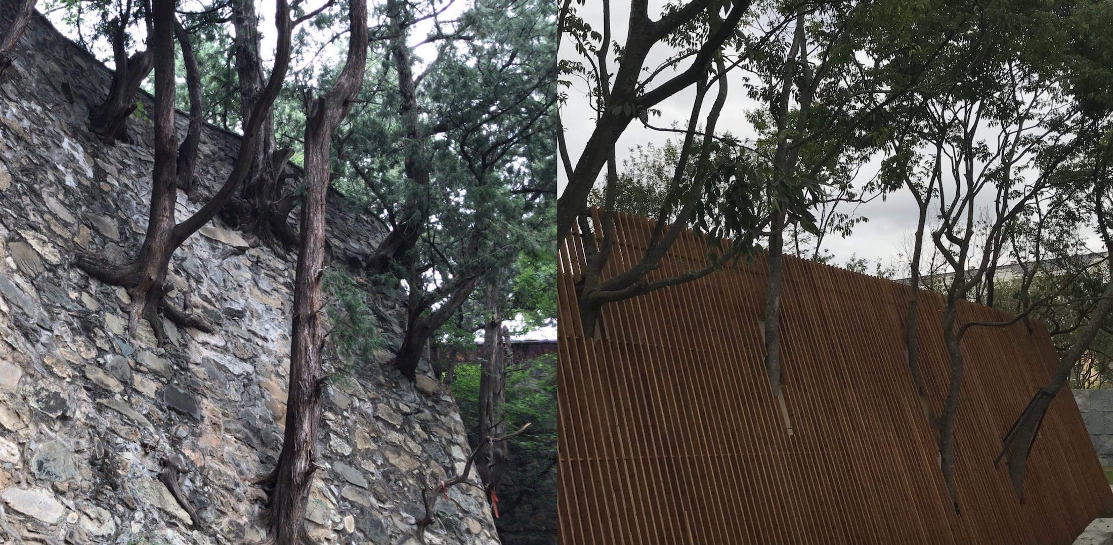 东山丝竹,华夏御府阳光售楼处改造,种地设计-39