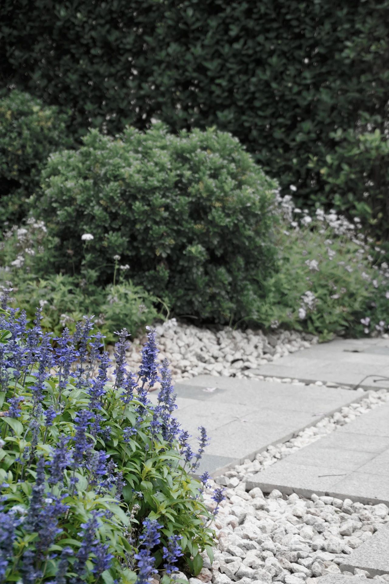 佛山市保利云上A区云缦庄园丨中国佛山丨仲德营造景观设计（广州）有限公司-51