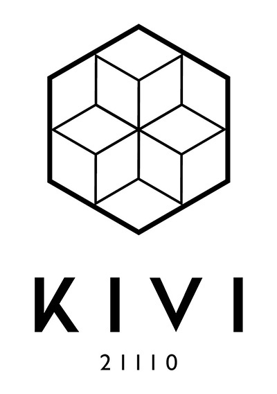 芬兰住宅区可视化设计-5