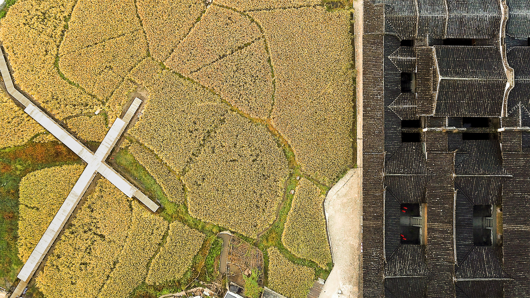 青石寨的稻亭和稻场,福建 / 个个世界+先进建筑实验室-19