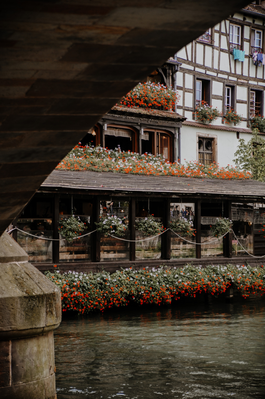 花与建筑的拥抱丨rach_vdb & hash_yan-13