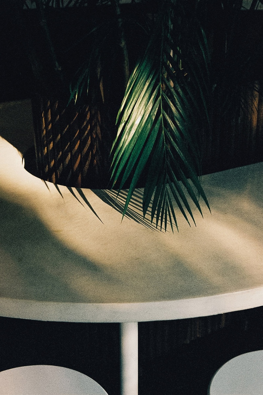 温哥华中国城 Kokomo 咖啡馆 | 自然材料打造社交共享空间-15