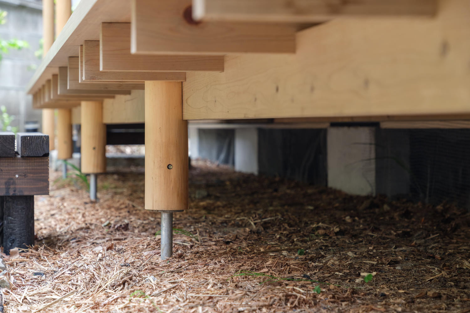 日本 Keystone 森林商业建筑丨日本东京丨Nori 建筑事务所+高田景观设计公司-22