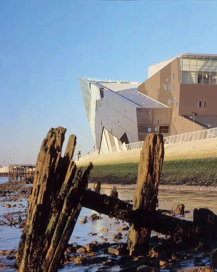 The Deep 水族馆丨英国丨Farrells 法雷尔-32