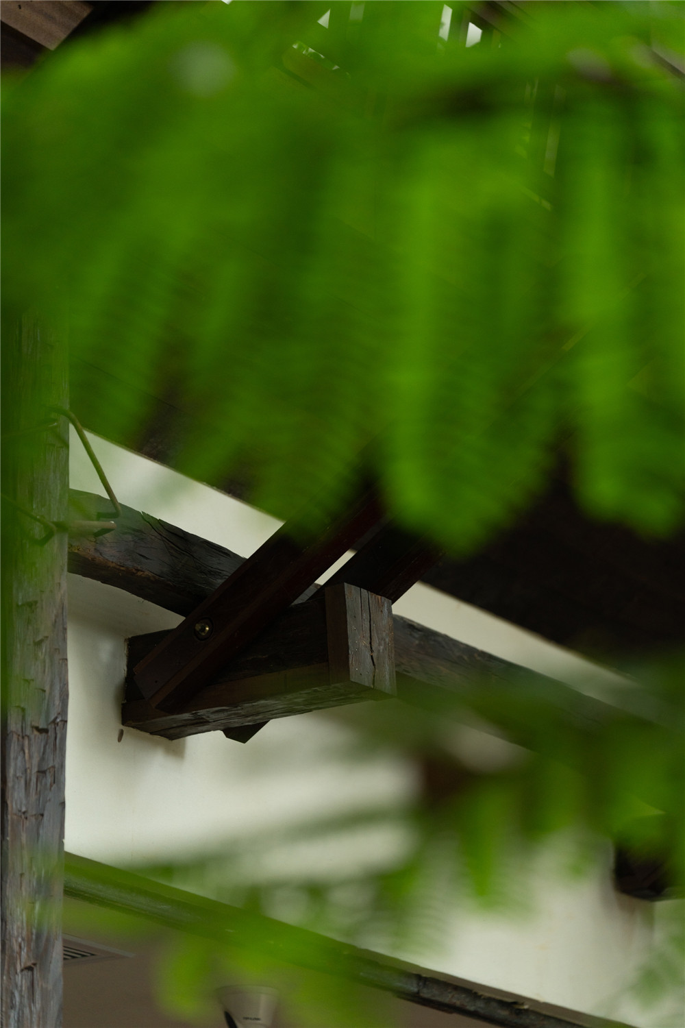 椿楣粉档丨中国西双版纳丨FUNS方糖空间设计顾问-73